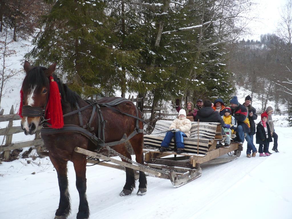 Casa Bunicii Din Bucovina Βίλα Vama  Δωμάτιο φωτογραφία